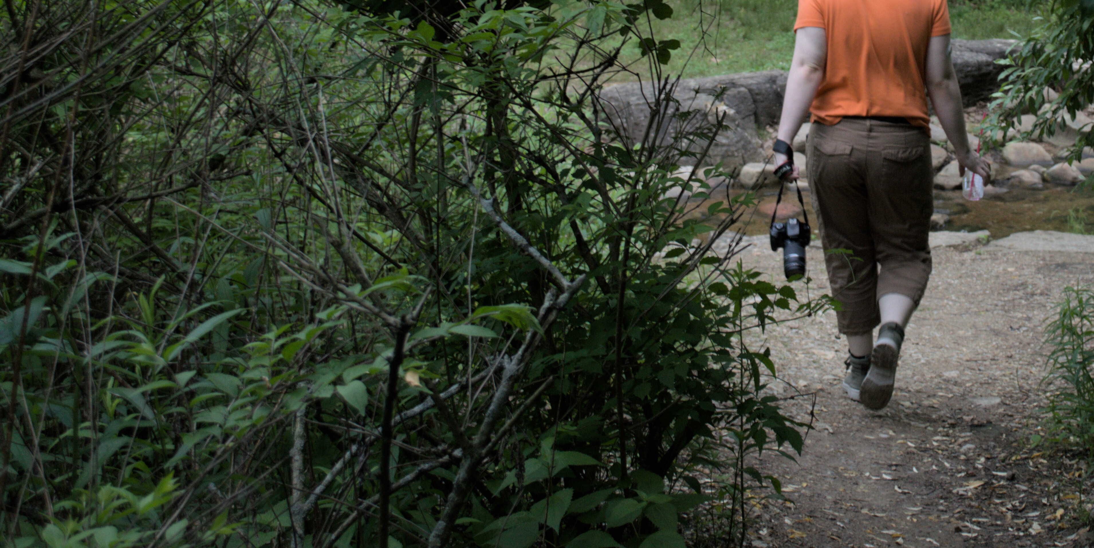 Photo of someone walking in a forest being viewed from behind, there is a camera dangling from their arm